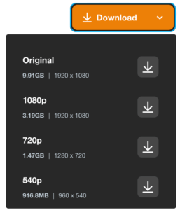 Video download options