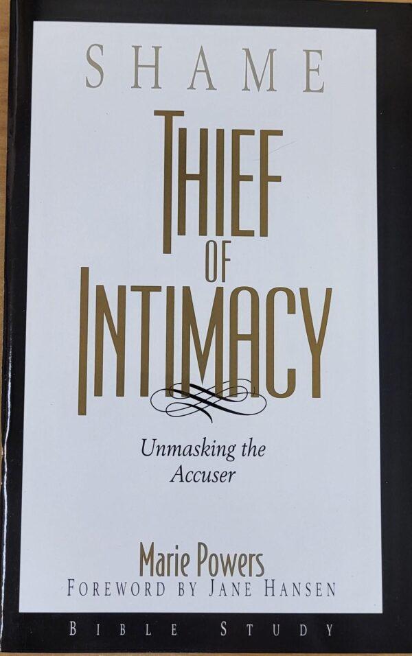 Shame: Theif of Intimacy - Image 2