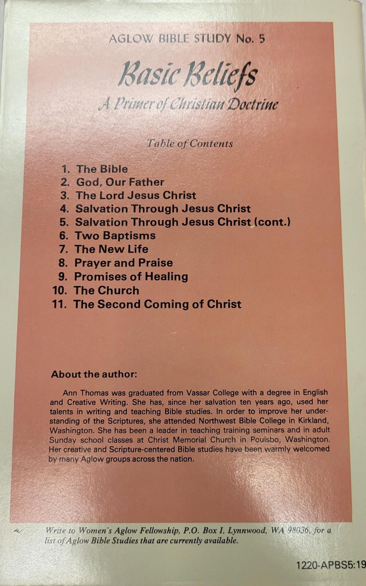 Basic Beliefs - Image 2